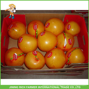 Chinese Fresh Honey Pomelo Exportación caliente